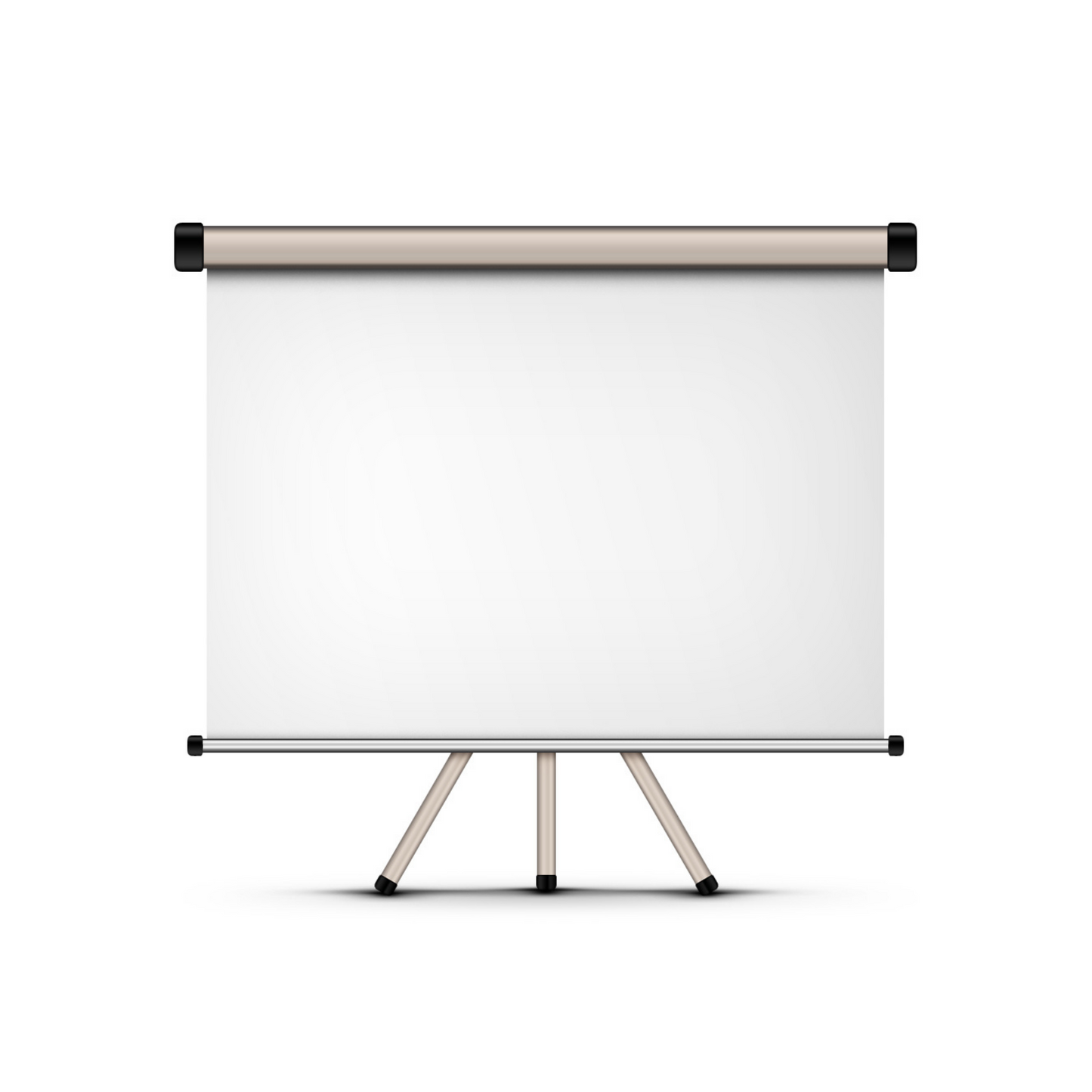 Video Display